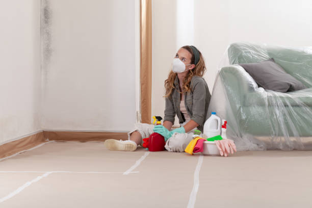 Reliable Commercial Mold Remediation contractor in Carr, CO by WQB Mold Removal